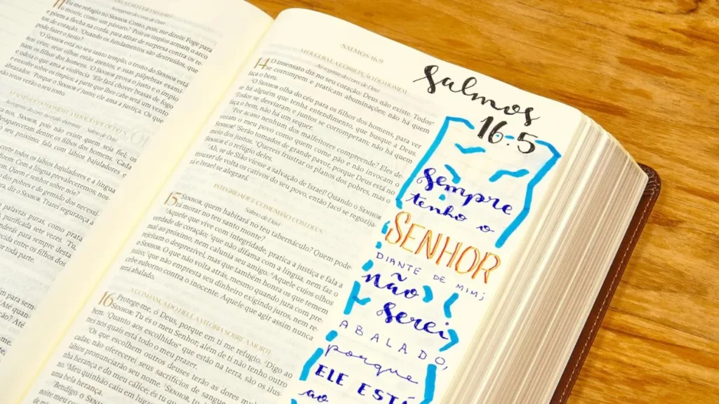 Uma composição mostrando os planos de leitura e o guia de uso da Bíblia The Purpose Book